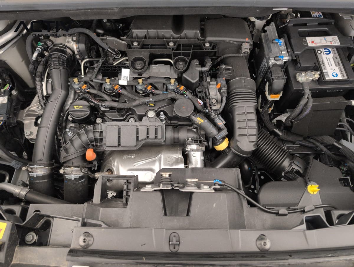 Citroën Berlingo Van : compartiment moteur diesel vu capot ouvert, avec batterie et durites