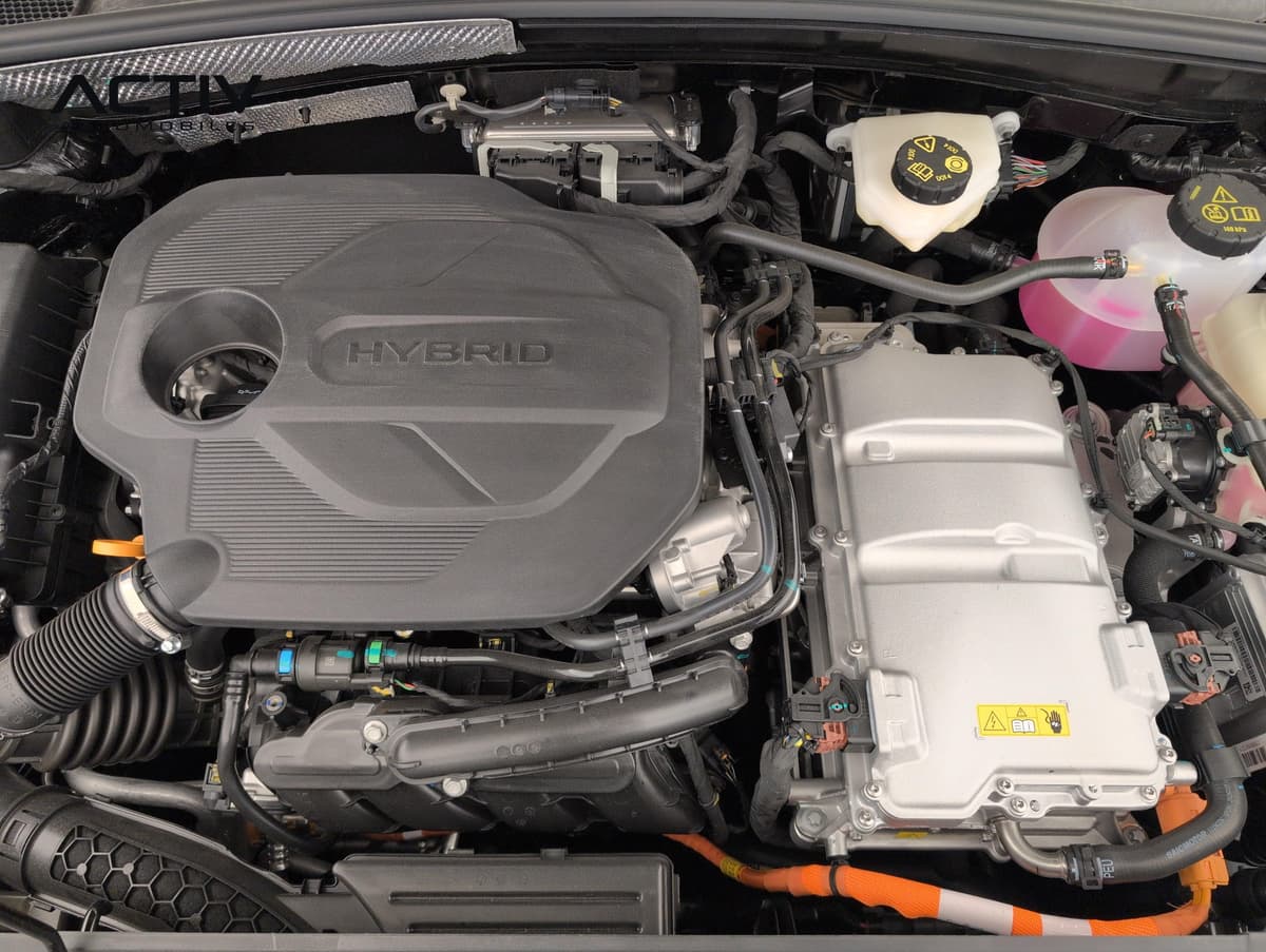 MG Zs 2026 – photo 20