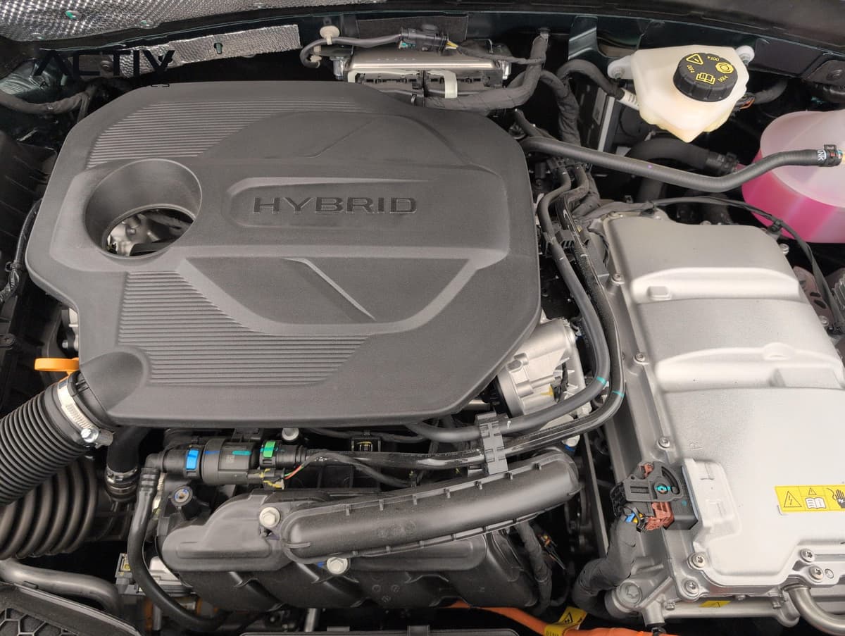 MG Zs 2026 – photo 20